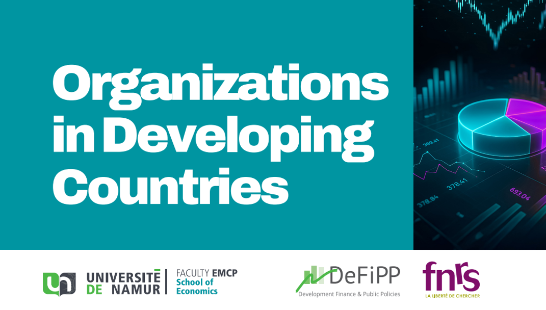 Organizations in Developing Countries